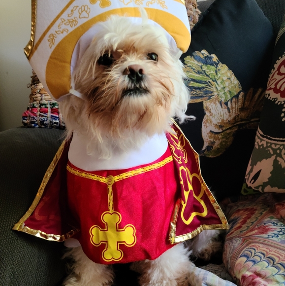 Meet your Posher, Becky - Picture 2 of 2